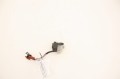 cef861f73683bf7efa362a5d8a32afd9