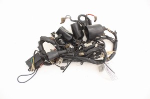 WIĄZKA ELEKTRYCZNA Yamaha TDM 850 4TX 96-01