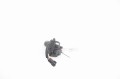 3038ab6246f241ade0b86f55d805ca2c