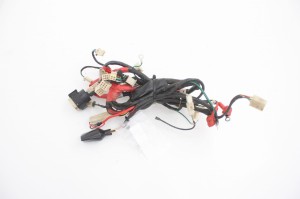 WIĄZKA ELEKTRYCZNA Tauris Cubana 50 12-