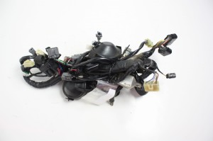 WIĄZKA ELEKTRYCZNA Kawasaki Ninja 300 13-17