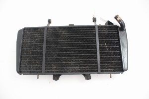 CHŁODNICA Z WENTYLATOREM Triumph Sprint ST 955 99-04