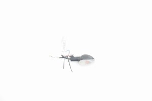 KIERUNKOWSKAZ TYLNY LEWY Gilera Nexus 125 250 06-13