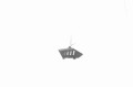 zdjęcie 1
