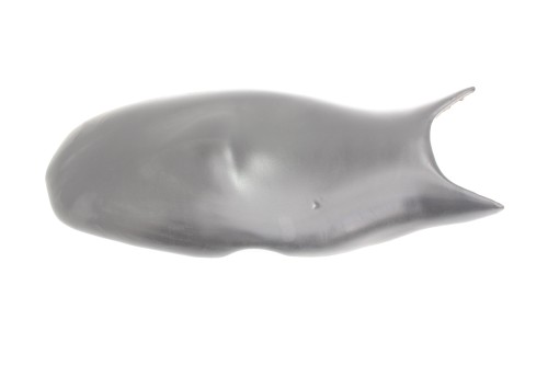 zdjęcie 1