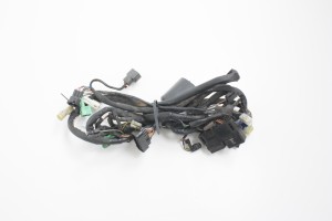 WIĄZKA ELEKTRYCZNA Suzuki GSF 1200 Bandit 01-05