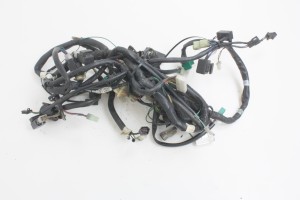 WIĄZKA ELEKTRYCZNA Kymco Xciting 250 05-06