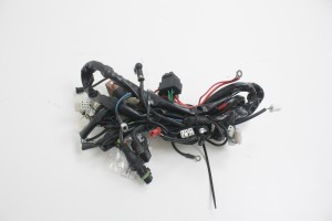 WIĄZKA ELEKTRYCZNA Aprilia Scarabeo 50 4T