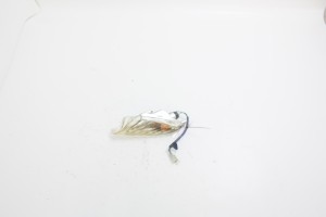 KIERUNKOWSKAZ PRZEDNI PRAWY Kymco Xciting 250 05-06