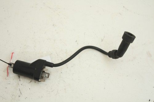 zdjęcie 1