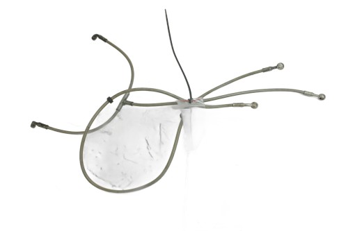 zdjęcie 1