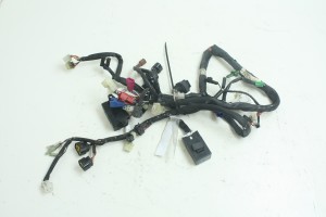 WIĄZKA ELEKTRYCZNA Yamaha FZS 600 Fazer 02-04