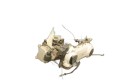 300-038a.jpg