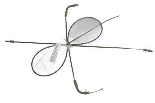 zdjęcie 1