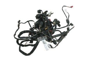 WIĄZKA ELEKTRYCZNA Kawasaki ZX9R 00-01